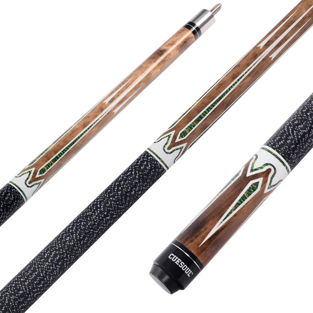 CUESOUL 2-Pack Pool Cue Sticks with Hard Case