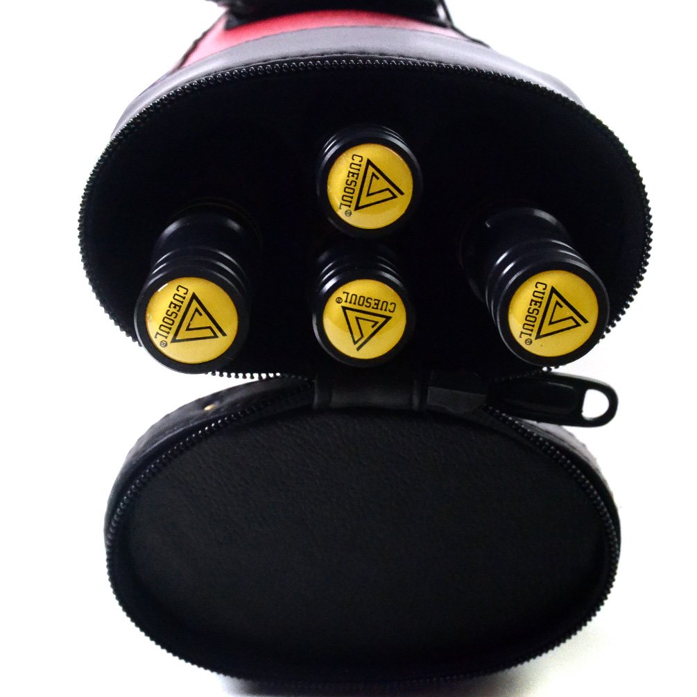 CUESOUL 2-Pack Pool Cue Sticks with Hard Case