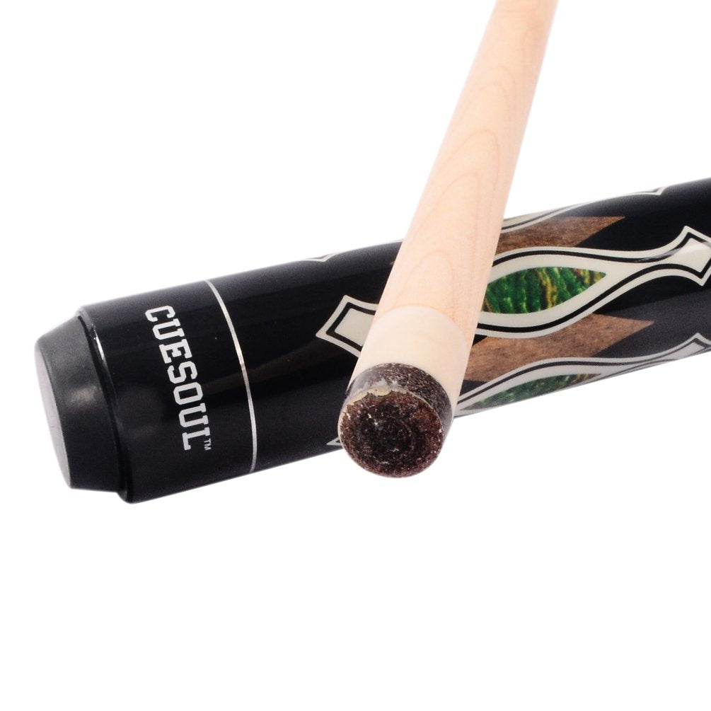 CUESOUL 2-Pack Pool Cue Sticks with Hard Case