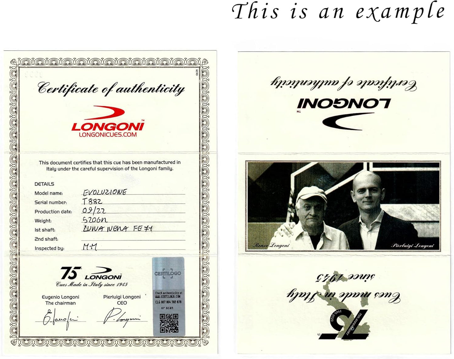 Longoni Evoluzione Carom Cue FE71 VP2